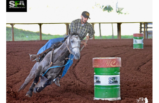CRYSTAL SKIPPY EASE